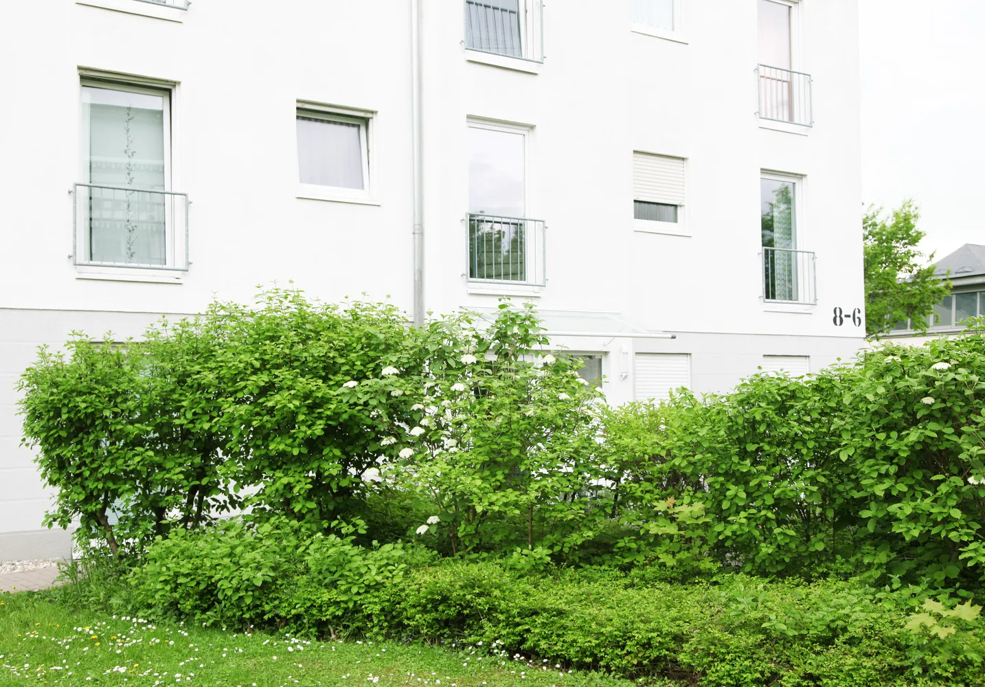2 Zimmer Wohnung mit 60 m² in Wiesbaden – Bild 4