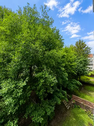2 Zimmer Wohnung mit 65 m² in Chemnitz – Bild 12