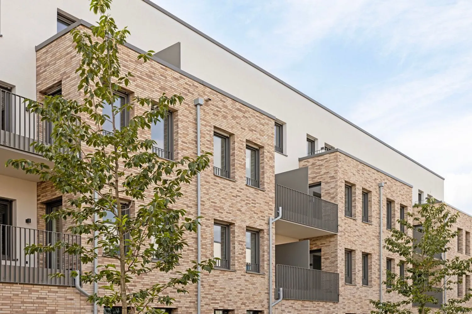 3 Zimmer Wohnung mit 95 m² in Dortmund – Bild 5