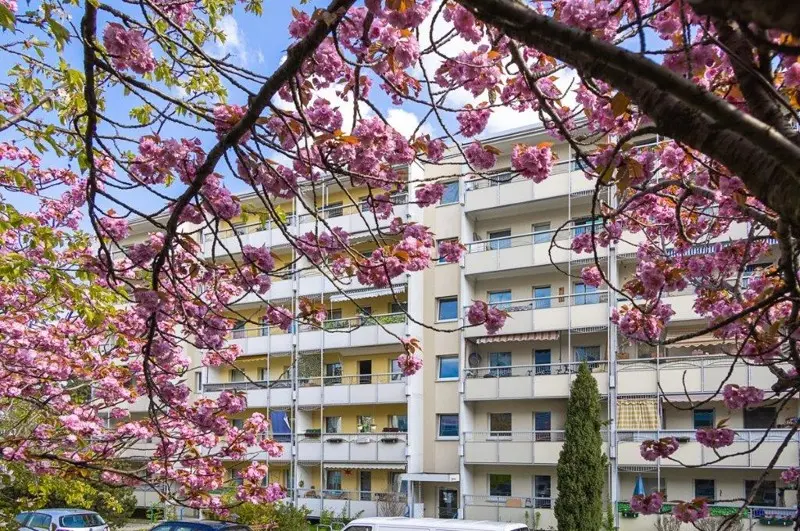 3 Zimmer Wohnung mit 57 m² in Dresden – Bild 6