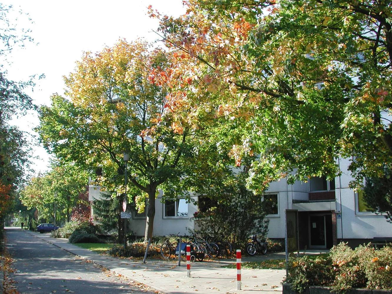 3 Zimmer Wohnung mit 83 m² in Kiel – Bild 3