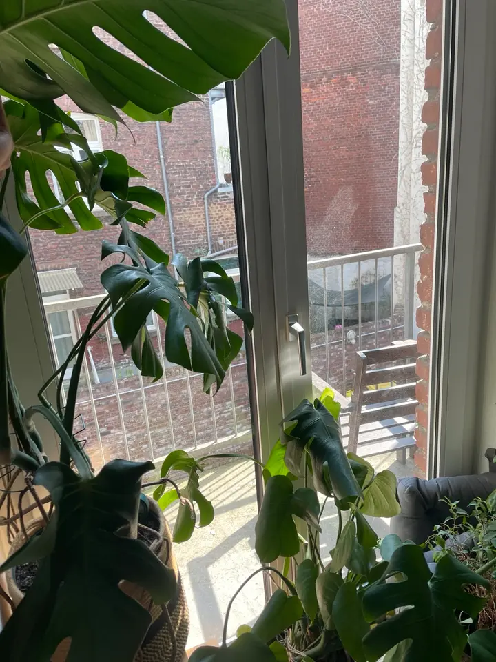 2 Zimmer Wohnung mit 66 m² in Düsseldorf – Bild 5