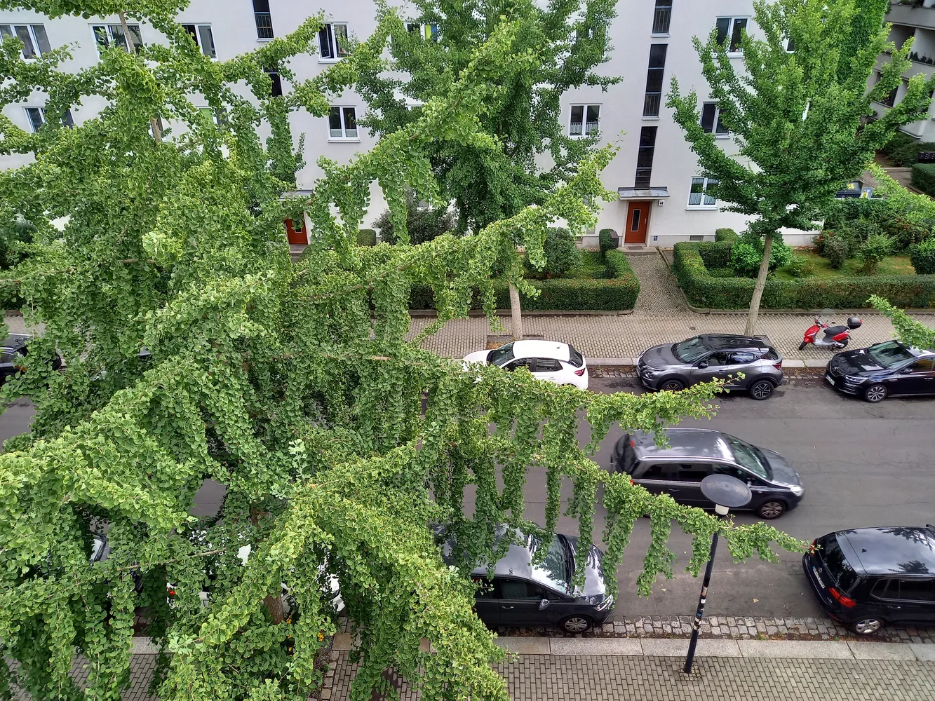 3 Zimmer Wohnung mit 67 m² in Dresden – Bild 10