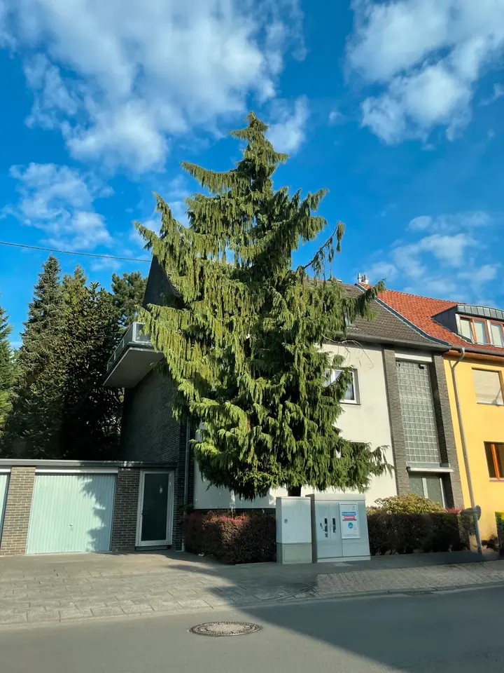 WG-Zimmer mit 86 m² in Frechen – Bild 4