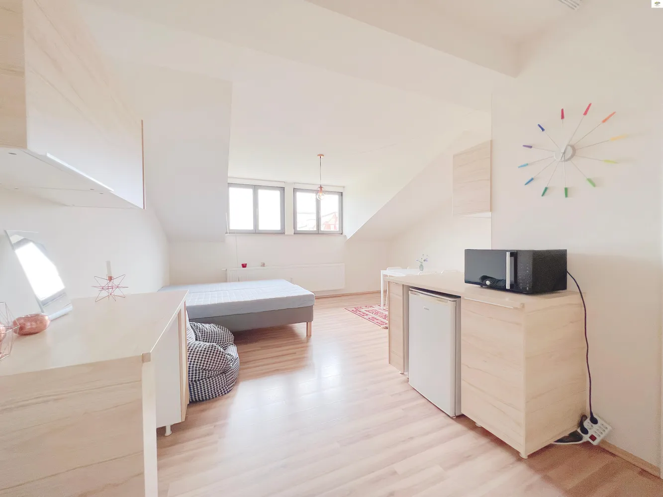 1 Zimmer Wohnung mit 33 m² in Dresden – Bild 1