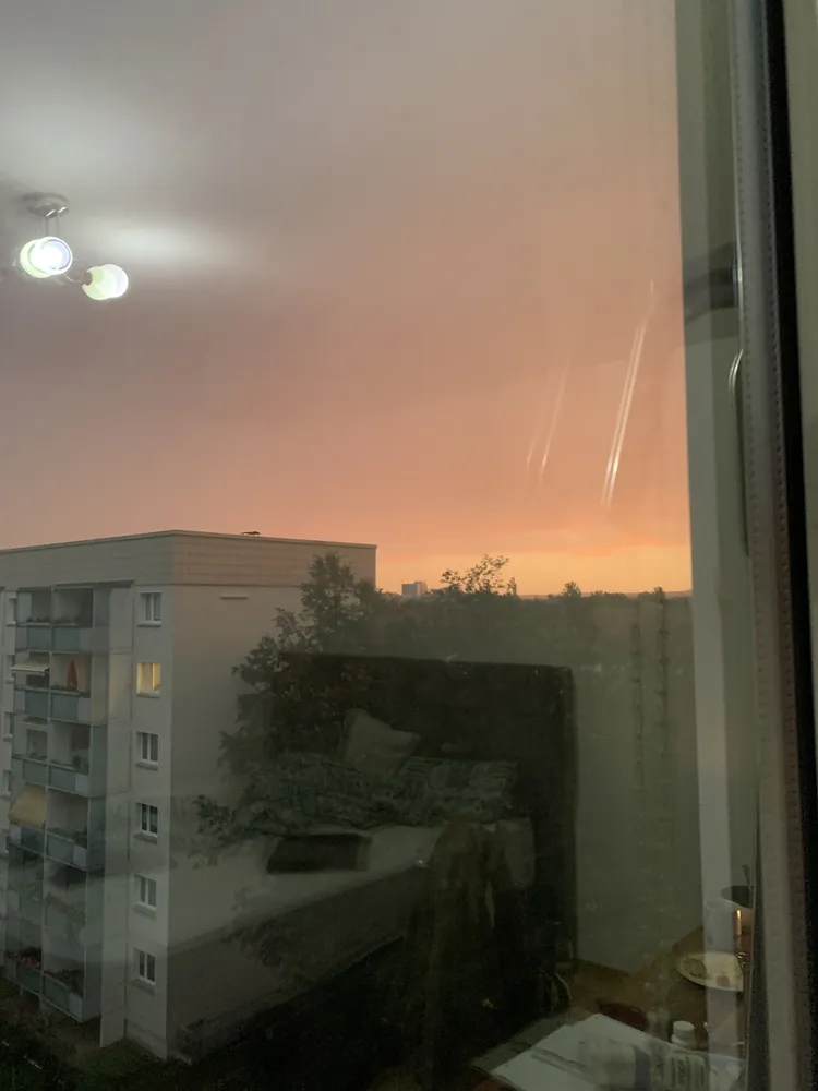 2 Zimmer Wohnung mit 21 m² in Dresden – Bild 2