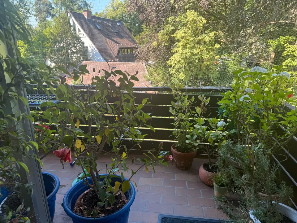 WG-Zimmer mit 19 m² in Frankfurt am Main – Bild 8