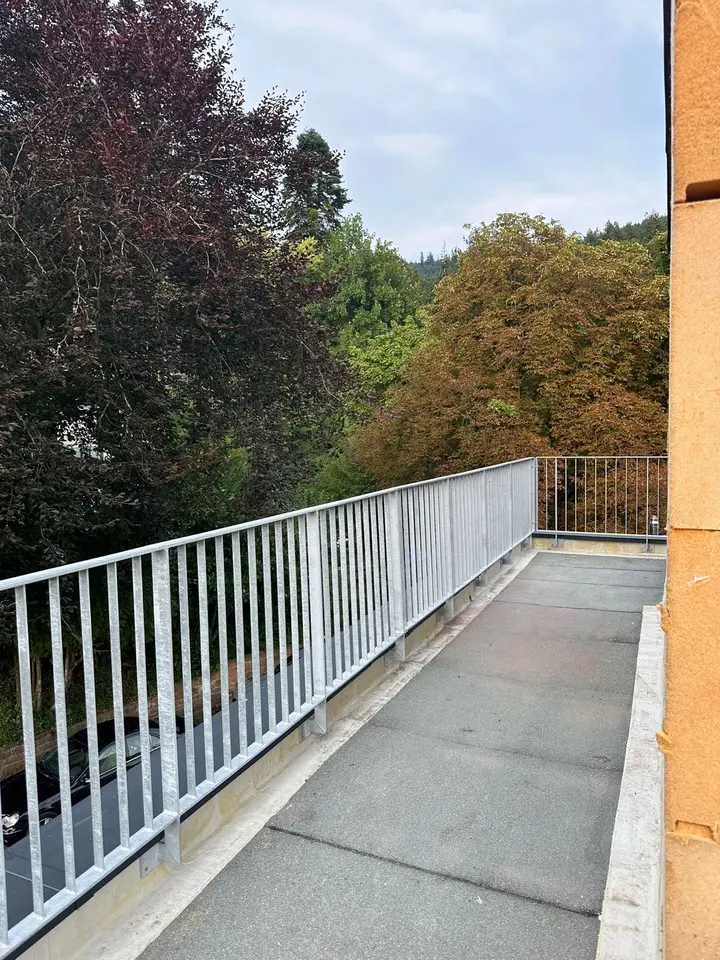 WG-Zimmer mit 16 m² in Freiburg im Breisgau – Bild 3