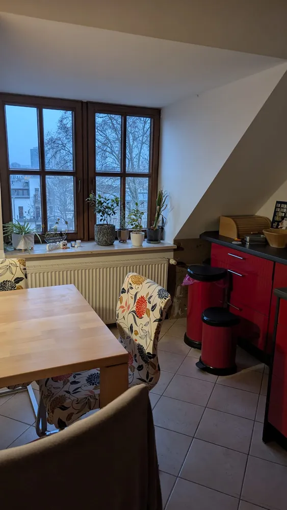 5 Zimmer Wohnung mit 165 m² in Leipzig – Bild 3