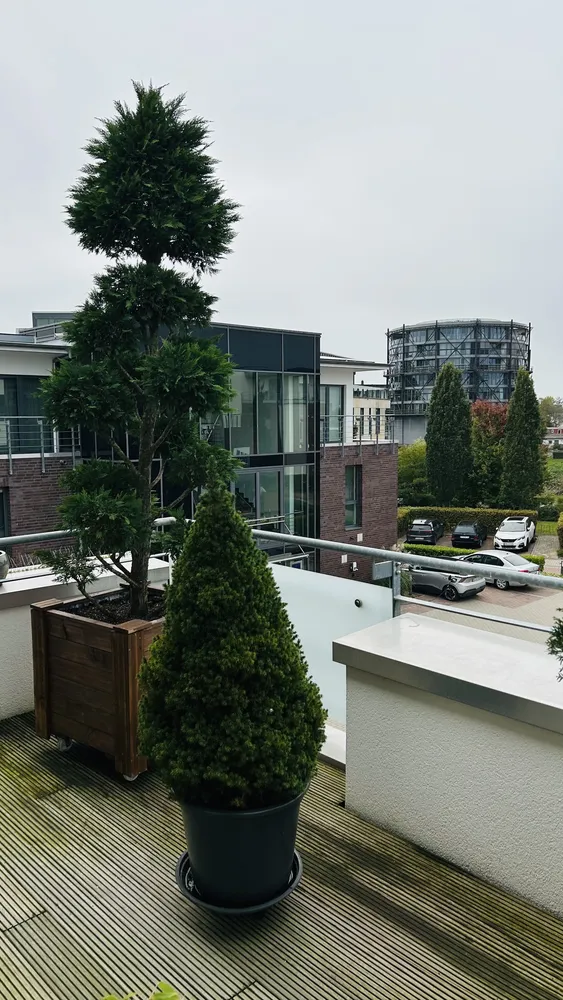 3 Zimmer Wohnung mit 142 m² in Stade – Bild 5