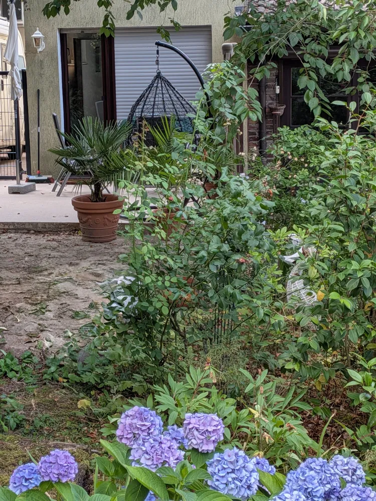 4 Zimmer Wohnung mit 80 m² in Essen – Bild 9