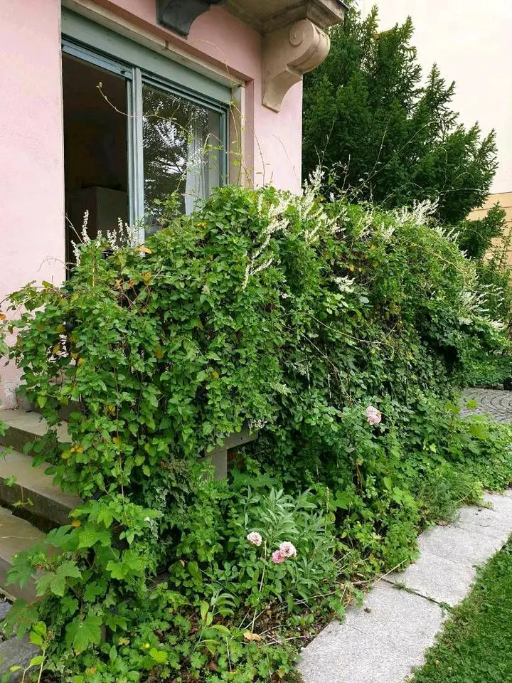 2 Zimmer Wohnung mit 77 m² in Dresden – Bild 4