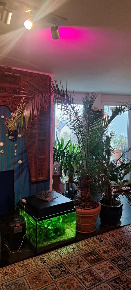 2 Zimmer Wohnung mit 59 m² in Stuttgart – Bild 7