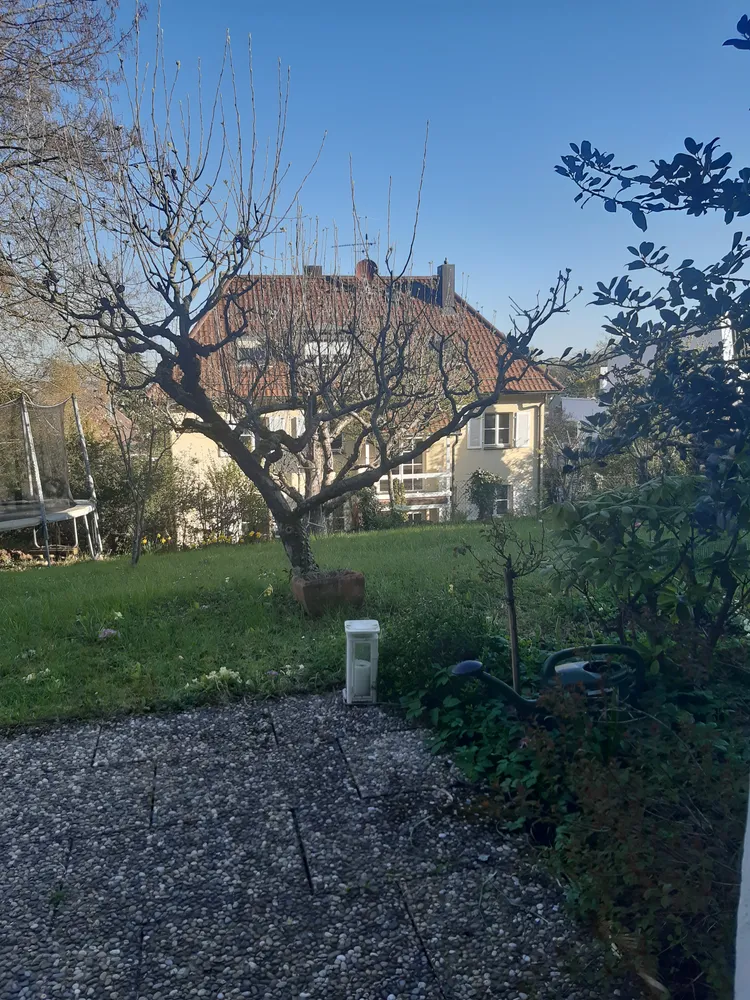 2 Zimmer Wohnung mit 51 m² in Stuttgart – Bild 6