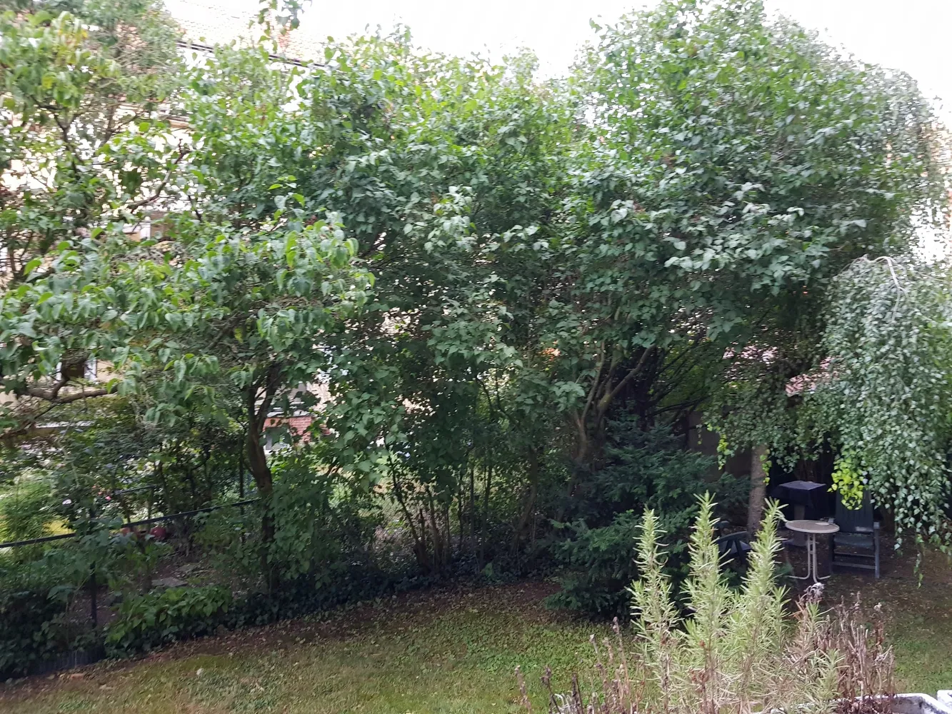 2 Zimmer Wohnung mit 52 m² in Hannover – Bild 2