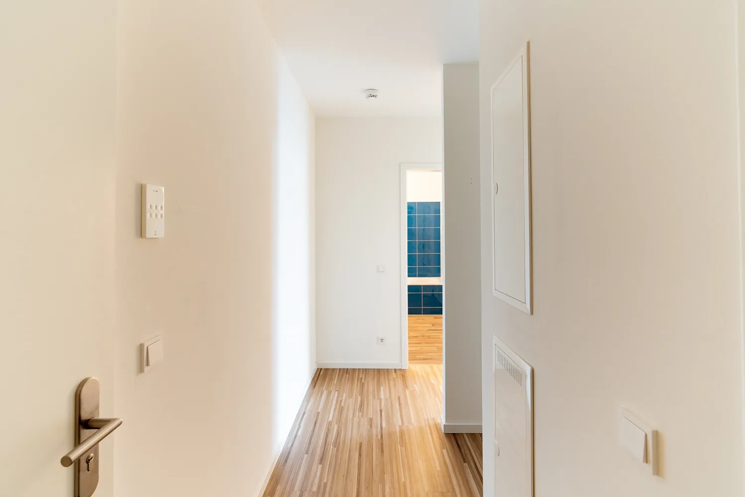 2 room apartment with 61 m² in Dresden – Photo 5