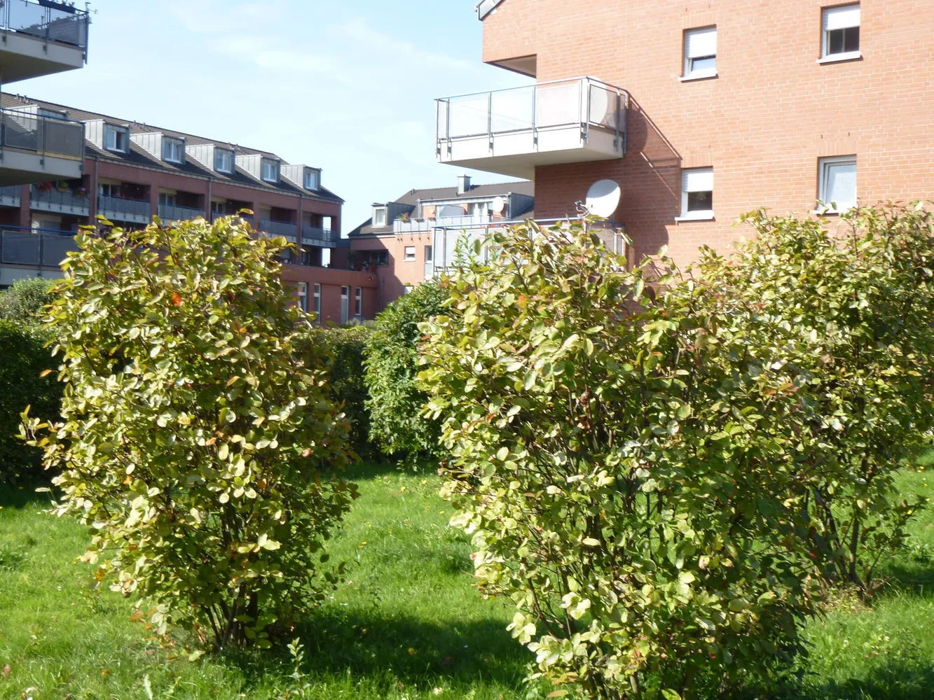 2 Zimmer Wohnung mit 57 m² in Köln – Bild 3