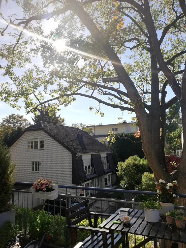 2 Zimmer Wohnung mit 72 m² in Köln – Bild 5
