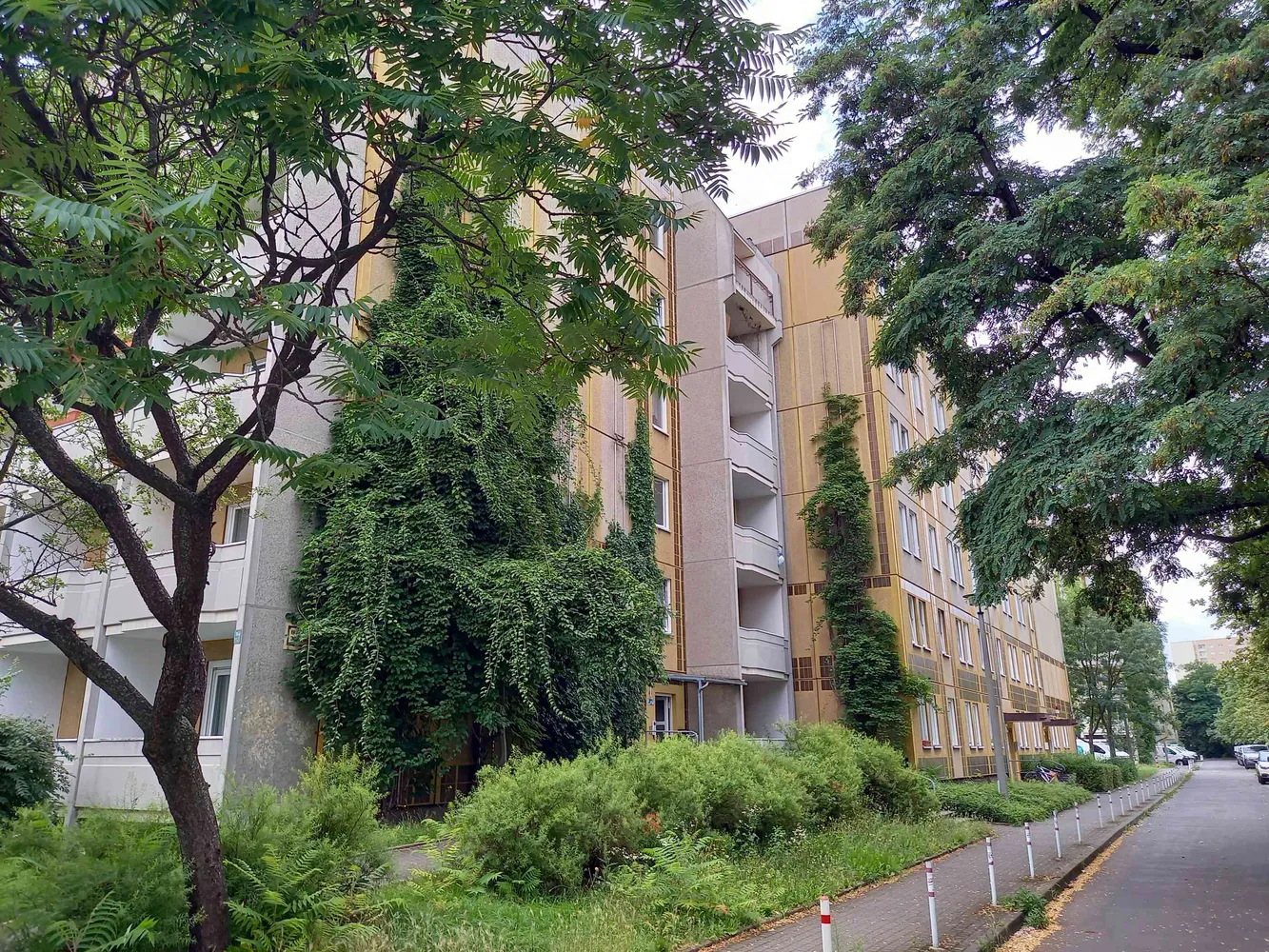 2 Zimmer Wohnung mit 50 m² in Dresden – Bild 1