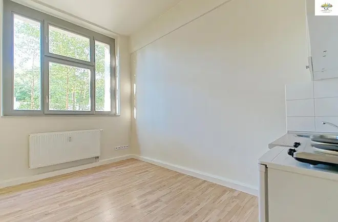 1 Zimmer Wohnung mit 19 m² in Dresden – Bild 4