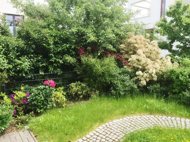 6 Zimmer Haus mit 154 m² in Frankfurt am Main – Bild 4