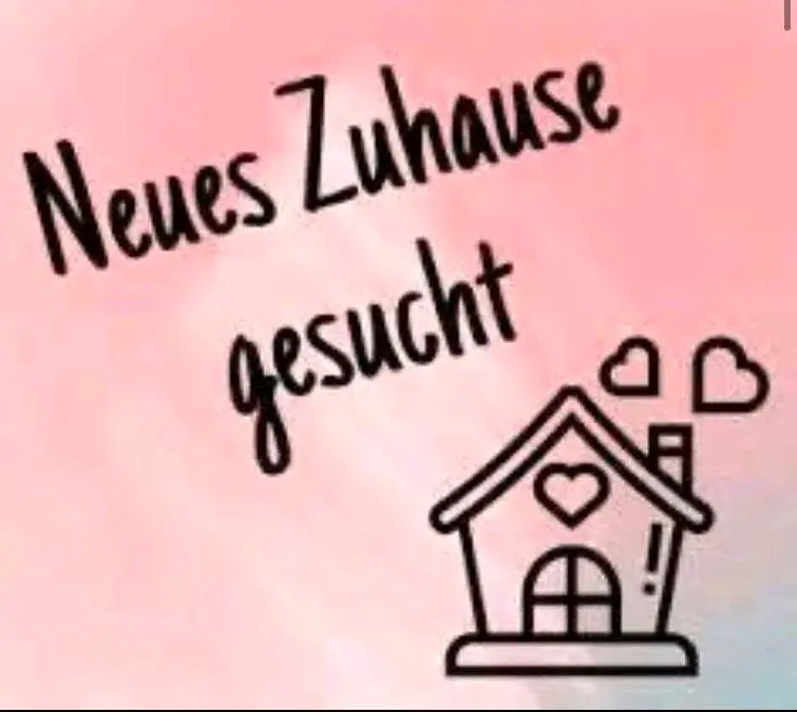 3 Zimmer Wohnung mit 80 m² in Kempen – Bild 9
