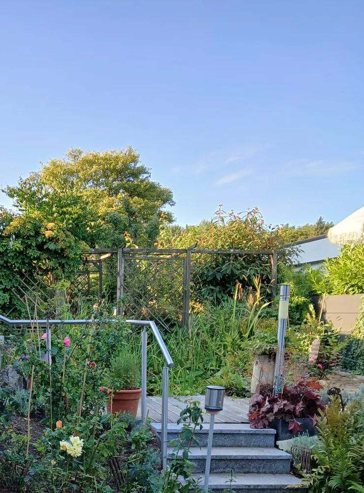 6 Zimmer Haus mit 142 m² in Wiesbaden – Bild 2