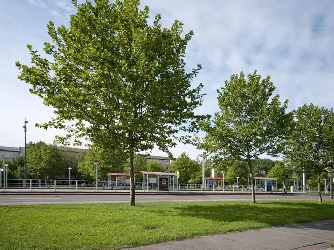 2 Zimmer Wohnung mit 51 m² in Halle (Saale) – Bild 4