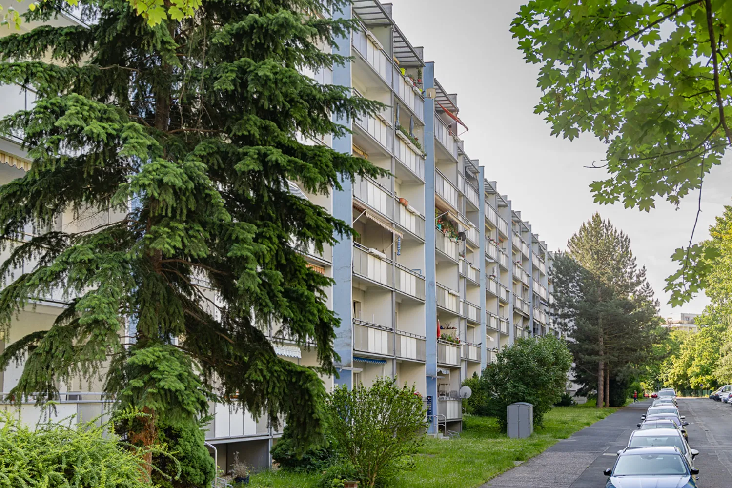 3 Zimmer Wohnung mit 64 m² in Dresden – Bild 4