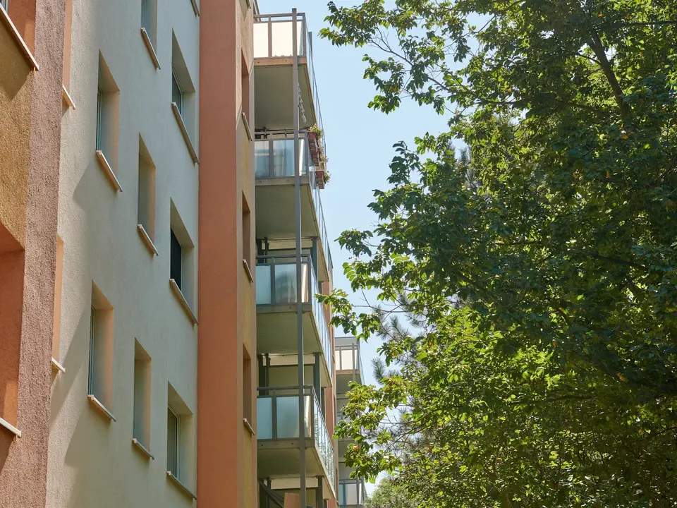 2 Zimmer Wohnung mit 27 m² in Dresden – Bild 4