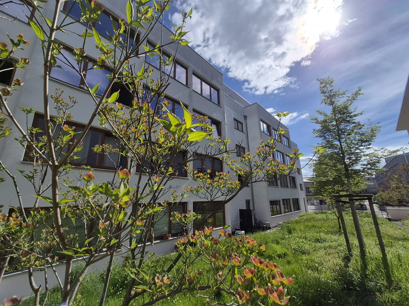 3 Zimmer Wohnung mit 84 m² in Dresden – Bild 2