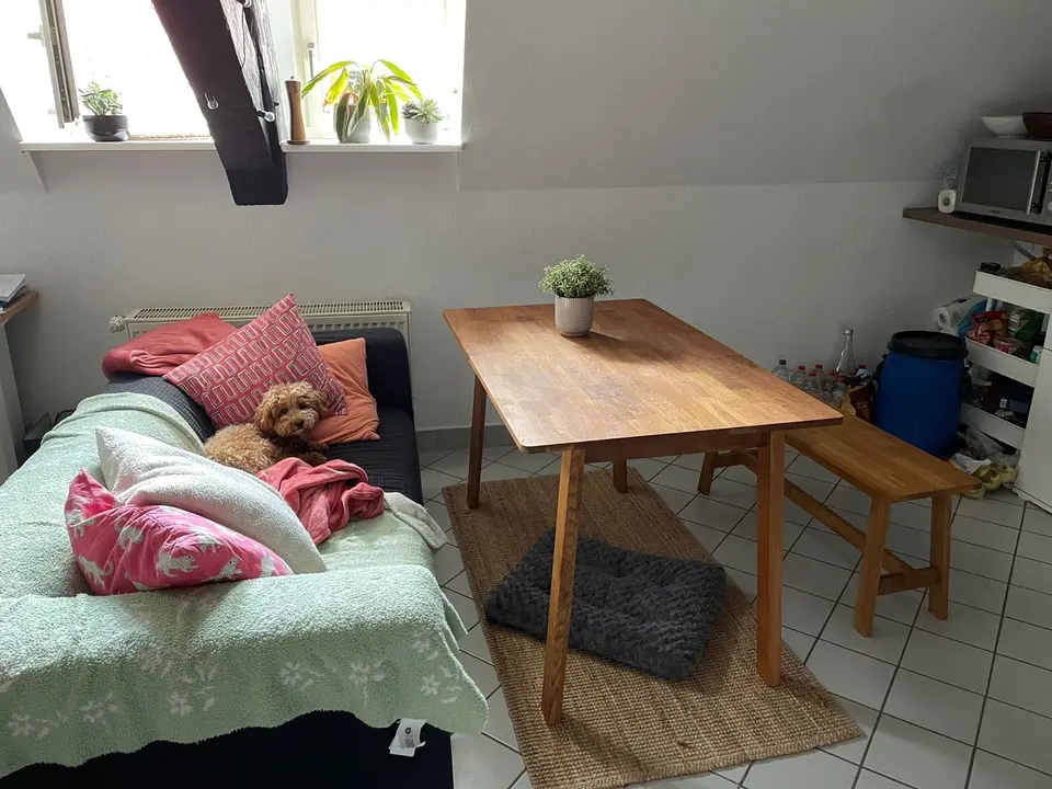 3 Zimmer Wohnung mit 77 m² in Erfurt – Bild 7
