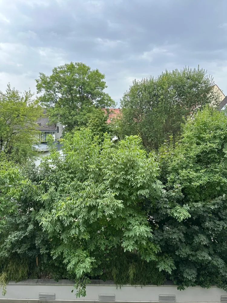 2 Zimmer Wohnung mit 61 m² in München – Bild 1