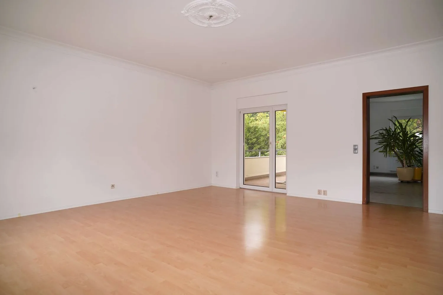 3 room apartment with 125 m² in Chemnitz – Photo 8
