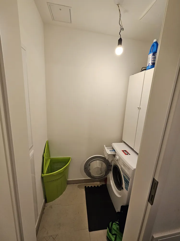 3 room apartment with 87 m² in Dresden – Photo 5