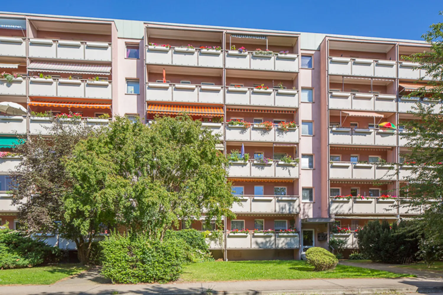 2 Zimmer Wohnung mit 50 m² in Dresden – Bild 5