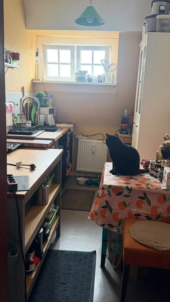 2 room apartment with 55 m² in Wiesbaden – Photo 11
