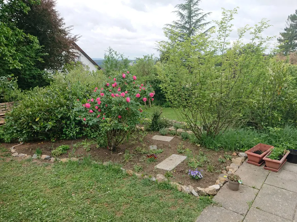 WG-Zimmer mit 140 m² in Tübingen – Bild 6