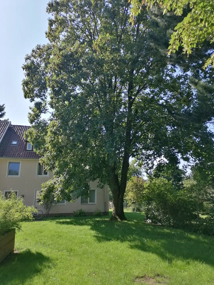 4 Zimmer Wohnung mit 84 m² in Celle – Bild 5