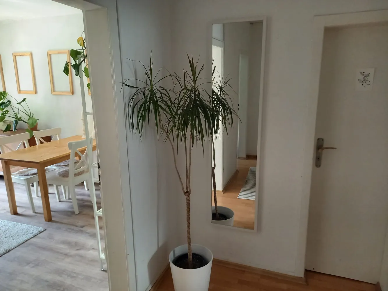 3 Zimmer Wohnung mit 74 m² in Köln – Bild 4