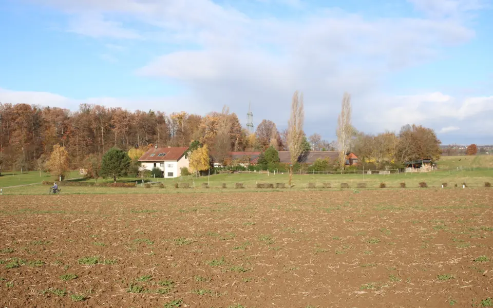 WG-Zimmer mit 125 m² in Schwäbisch Gmünd – Bild 4