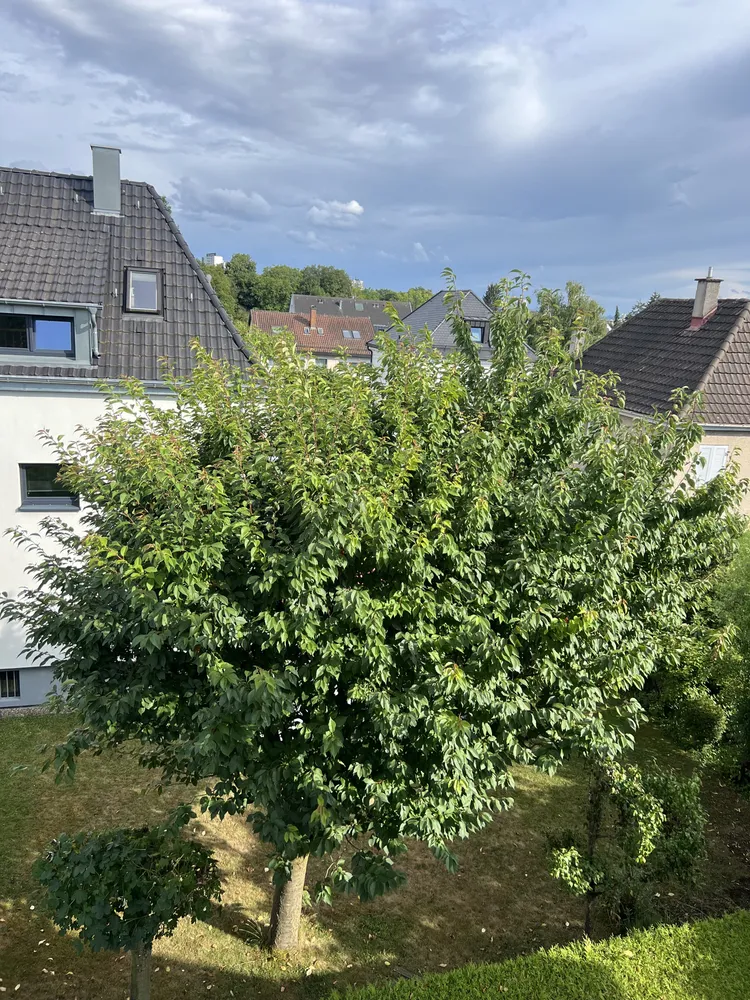 1 Zimmer Wohnung mit 32 m² in Stuttgart – Bild 5
