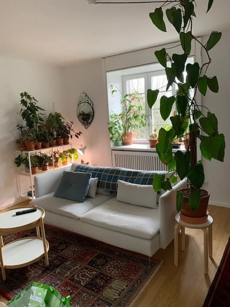 3 Zimmer Wohnung mit 97 m² in Mannheim – Bild 11