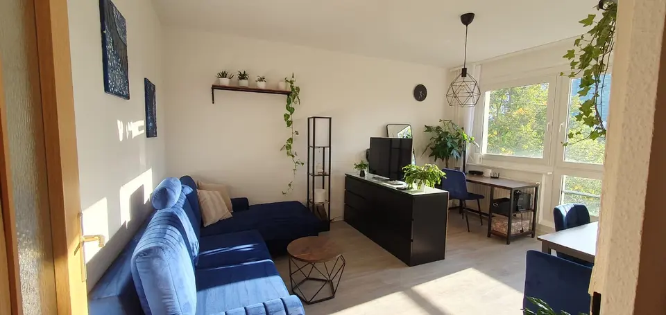 Studio mit 27 m² in Dresden – Bild 8