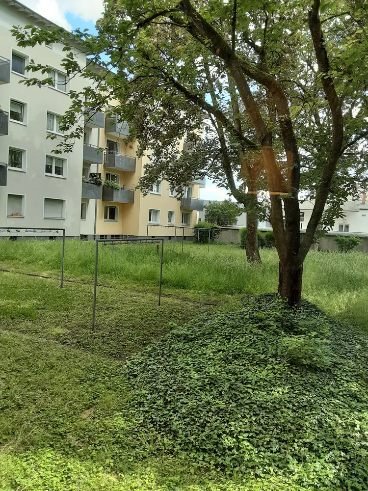 3 room apartment with 73 m² in Frankfurt am Main – Photo 9