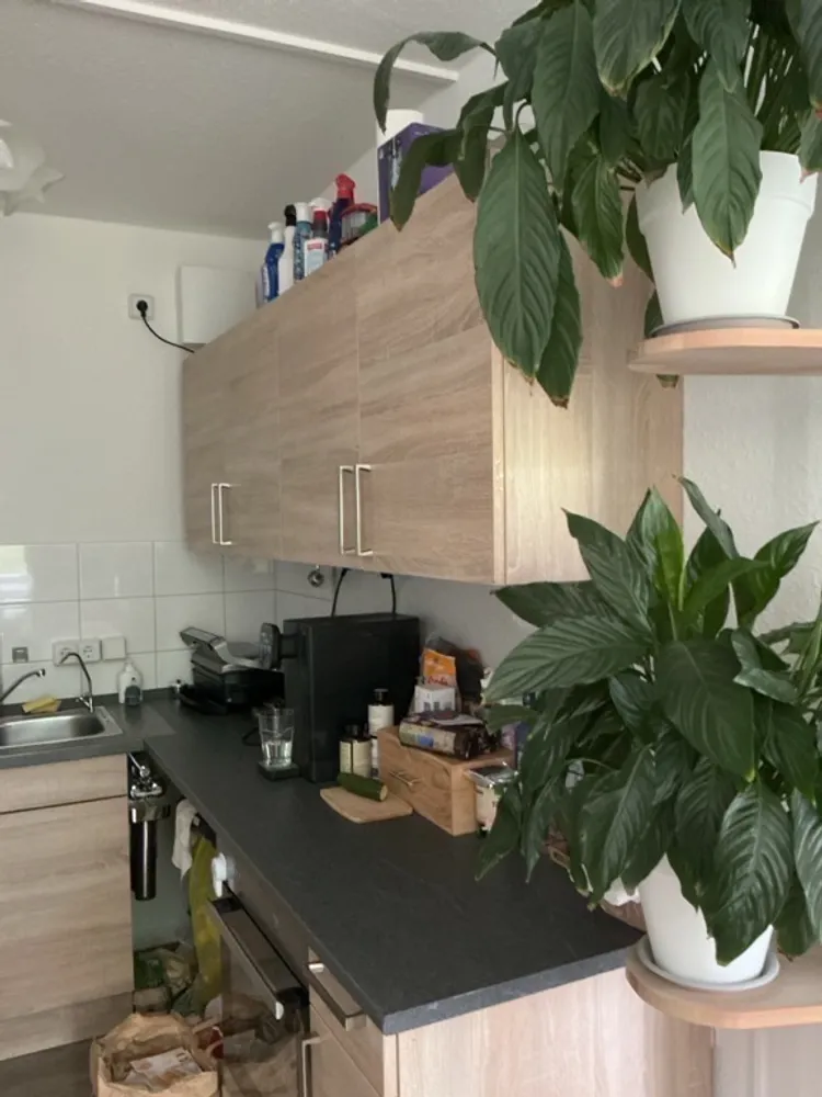 3 Zimmer Wohnung mit 57 m² in Dresden – Bild 4