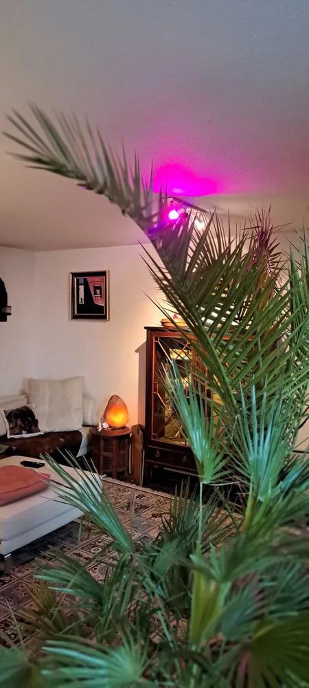 2 Zimmer Wohnung mit 59 m² in Stuttgart – Bild 6