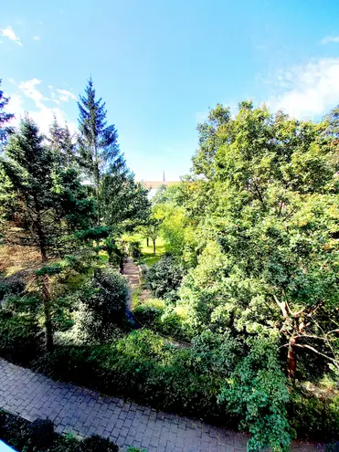 2 Zimmer Wohnung mit 59 m² in Dresden – Bild 8