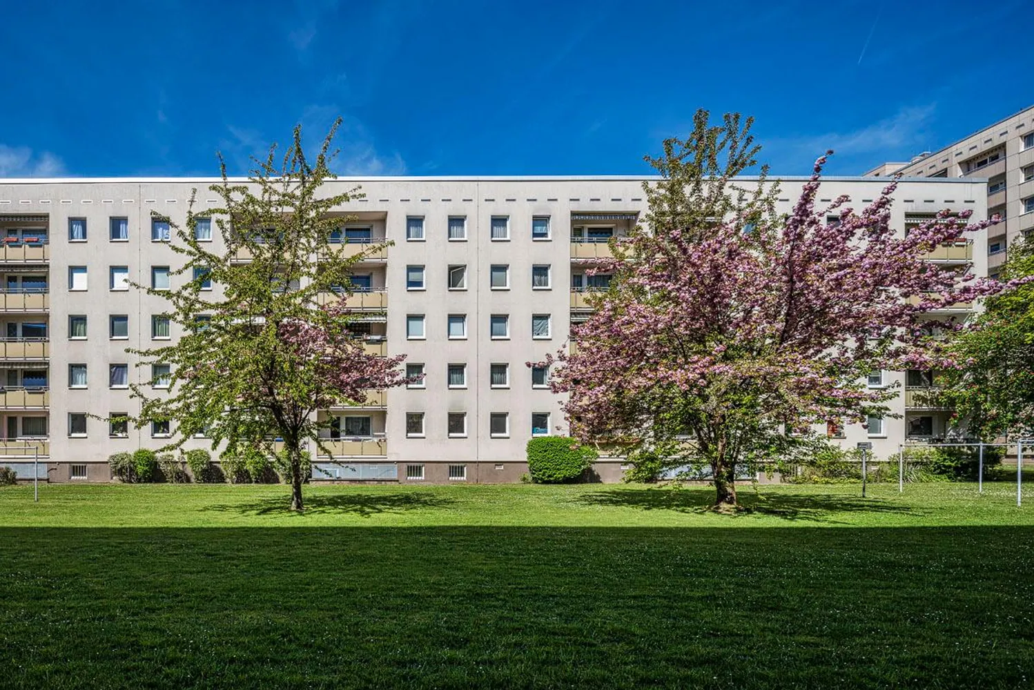 3 Zimmer Wohnung mit 67 m² in Dresden – Bild 1