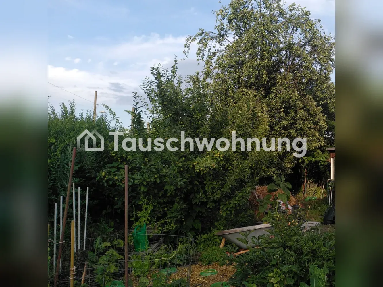 3 Zimmer Wohnung mit 74 m² in Dresden – Bild 1